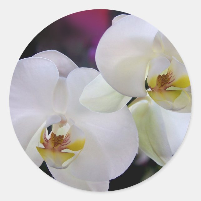 Orchid stickers (Front)