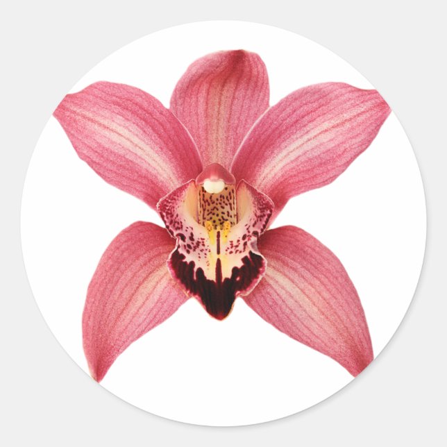 Orchid Stickers (Front)