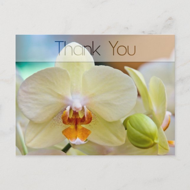 Orchid • Thank You Postcard (Front)