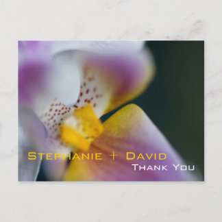Orchid • Thank You Postcard