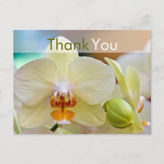 Orchid • Thank You Postcard (Front)