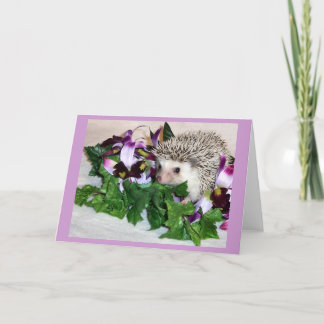 Orchid the Hedgehog Card