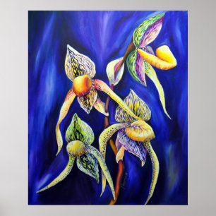 Orchid - The Paphiopedilum Lady's Slipp Poster