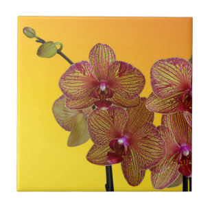 orchid tile