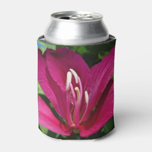 Orchid Tree Blossom Tropical Floral Can Cooler