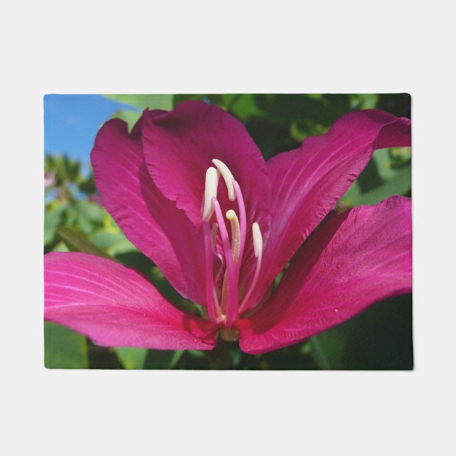 Orchid Tree Blossom Tropical Floral Doormat (Front)