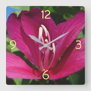 Orchid Tree Blossom Tropical Floral Square Wall Clock