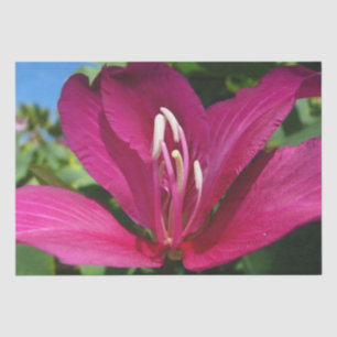 Orchid Tree Blossom Tropical Floral Tissue Paper