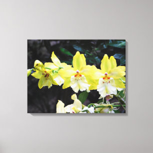 Orchid Trio Wrapped Canvas Print