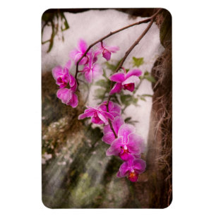 Orchid - Tropical Passion Magnet