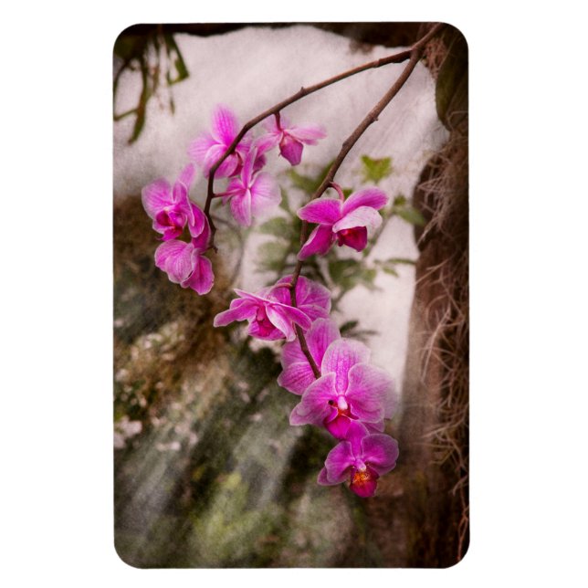 Orchid - Tropical Passion Magnet (Vertical)