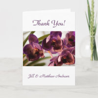 Orchid Vanda Pure's Wax Flower Group