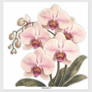 orchid vinyl sticker