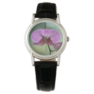 Orchid Watch