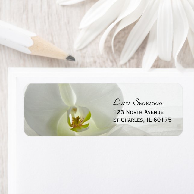 Orchid White and Bridal Veil Wedding Address (Insitu)