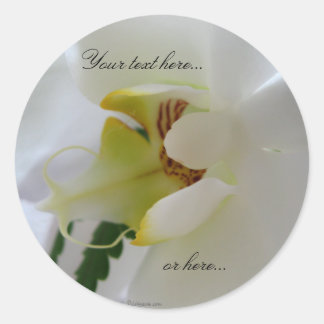 Orchid White Flower Stickers / Wedding Stickers