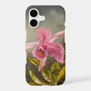 Orchid with Two Hummingbirds Heade