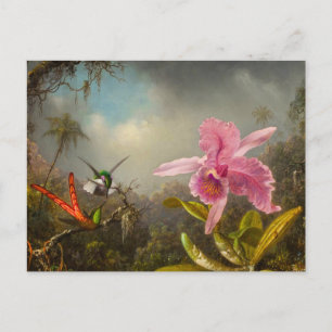 Orchid with Two Hummingbirds Heade Postcard