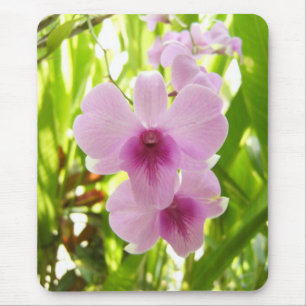 Orchid - World Of Our Own Mouse Mat