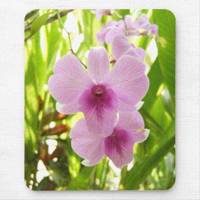 Orchid - World Of Our Own Mouse Mat (Front)