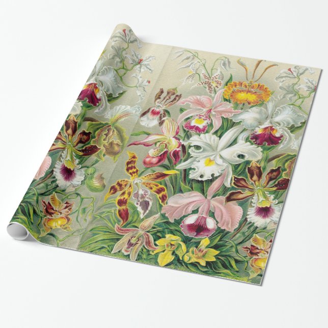 Orchidae Flowers Wrapping Paper (Unrolled)