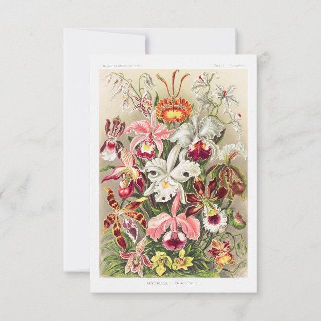 Orchideae Denusblumen A Giltsch By Ernst Haeckel Save The Date (Front)