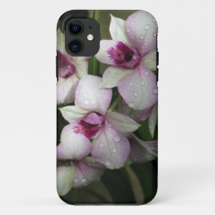 Orchideas iPhone Case-Mate 11 Case