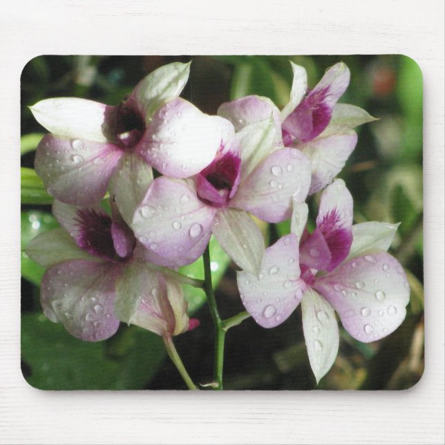 Orchideas mousepad (Front)