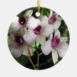 Orchideas ornament