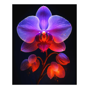 Orchideen Blüte im Strahlendem Licht Photo Print