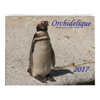 Orchidelique's 2017 Animal Calendar