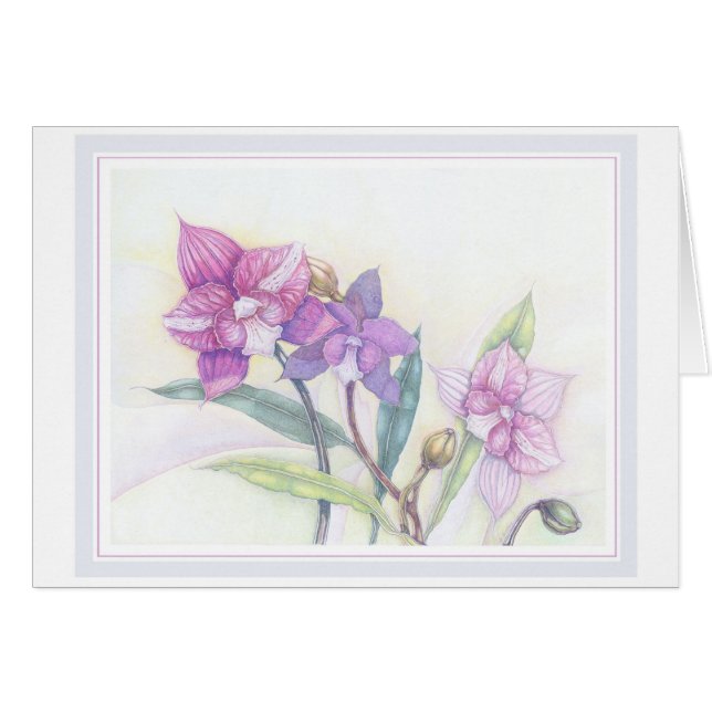 Orchids (Front Horizontal)