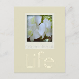 Orchids 1 Celebration of Life Funeral Announcement