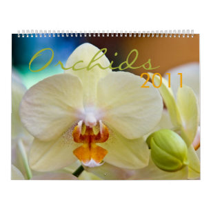 Orchids 2011 Calendar