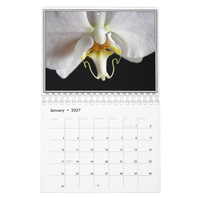 ORCHIDS 2011 CALENDAR (Jan 2027)