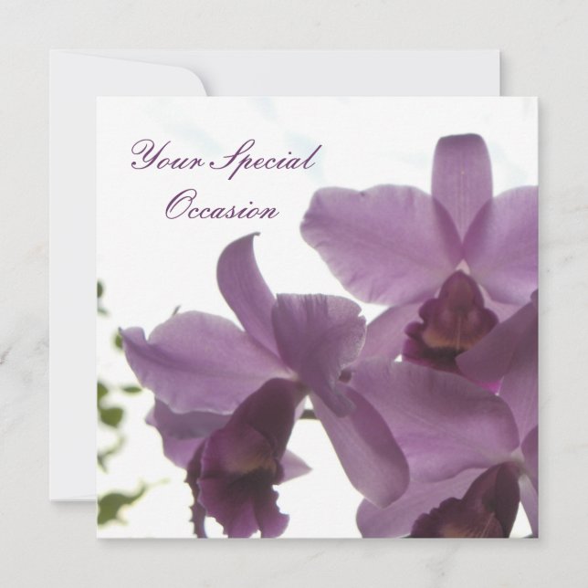 Orchids 2 All-Occasion Invites (Front)