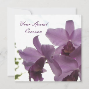 Orchids 2 All-Occasion Invites