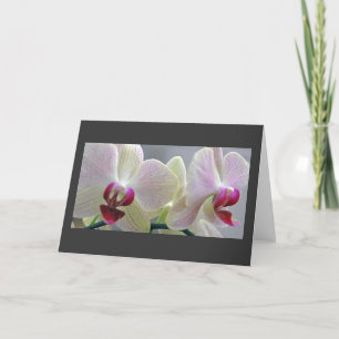 Orchids #2 card