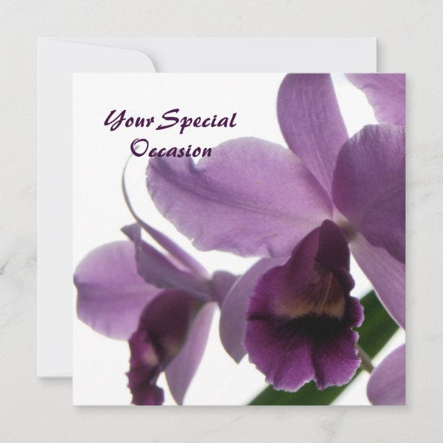 Orchids All-Occasion Invites (Front)