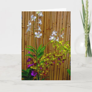 Orchids and Bamboo Card