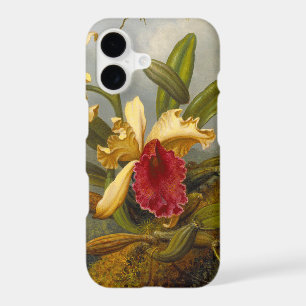 Orchids and Hummingbird Heade