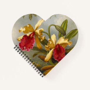 Orchids and Hummingbird Heade Notebook