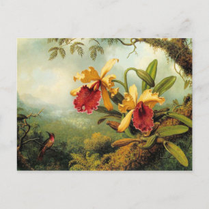 Orchids and Hummingbirds Postcard
