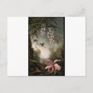 Orchids and Spray Orchids with Hummingbird by Mart Postcard