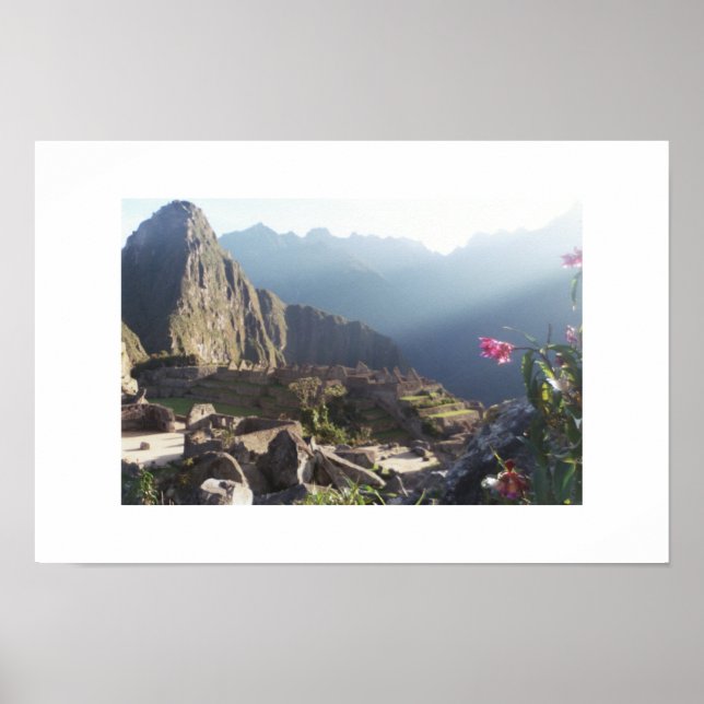 Orchids at Machu Picchu Poster (Front)