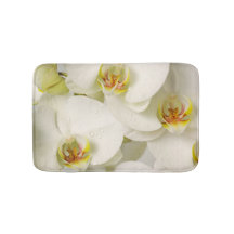 Orchids