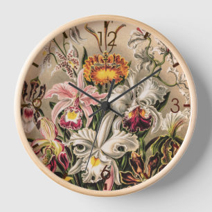 Orchids by Ernst Haeckel  Clock