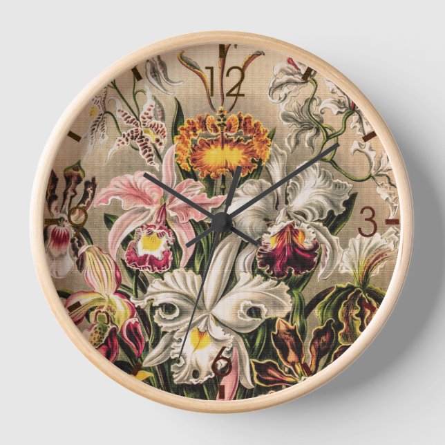Orchids by Ernst Haeckel  Clock (Front)