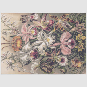 Orchids by Ernst Haeckel Decoupage Tissue Paper