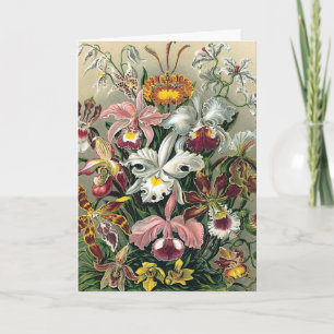 Orchids by Haeckel Thank You Card